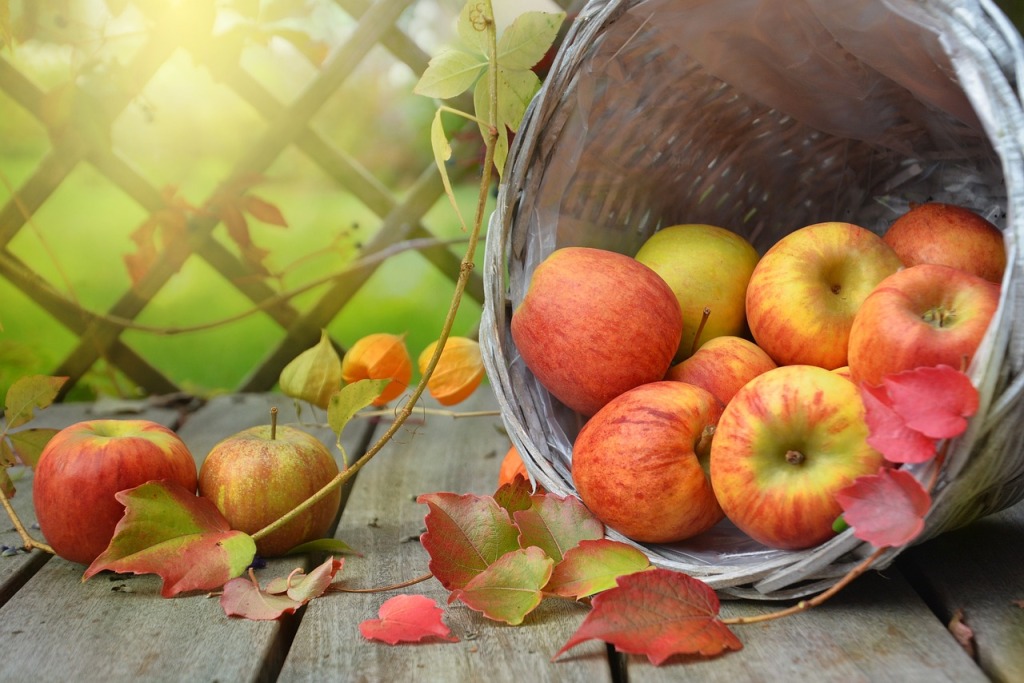 Apples in a basket with fall leaves